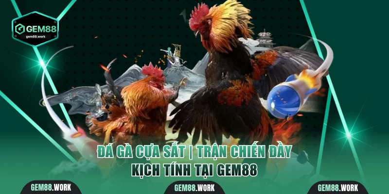 Đá gà cựa sắt